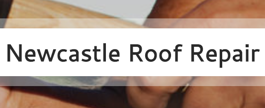 Roof Repair​