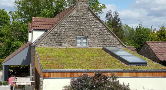 Green Roofs