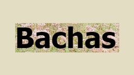 Bachas