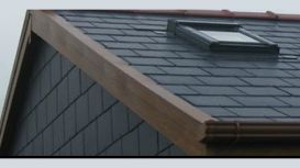 Peter Nicholas & Sons Roofing