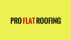 Pro Flat Roofing